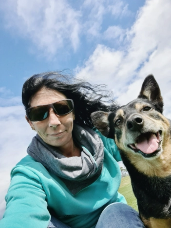 proyecto Corfo y estándares de calidad LQCE